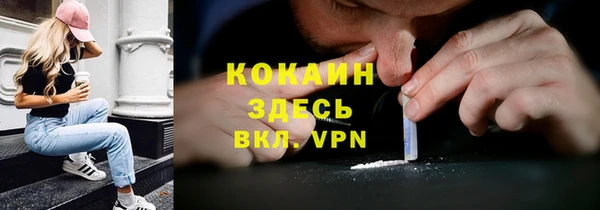 кокс Корсаков