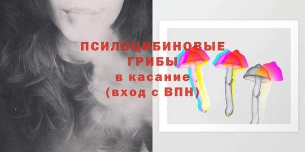 гашик Костерёво