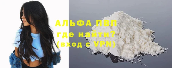 гашик Костерёво