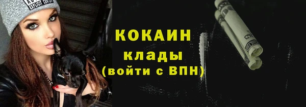 гашик Костерёво