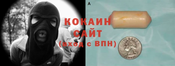 гашик Костерёво