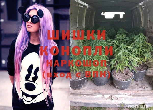 ECSTASY Кодинск