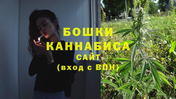 кокс Корсаков