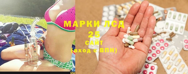 стаф Козловка
