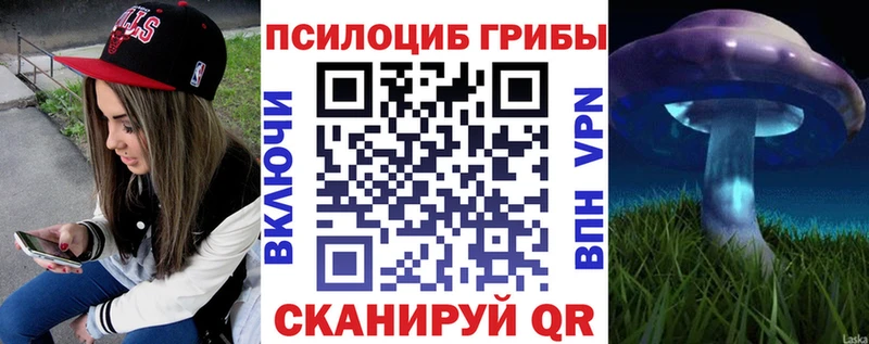 даркнет Telegram  Таруса  Псилоцибиновые грибы Psilocybe 